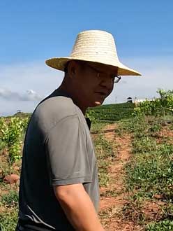 农业人叶涛，50多岁通讯人跨界搞农业，他要用1000万打造一个梦。